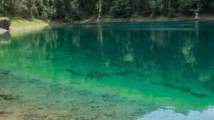 Read more about the article Ausfahrt: Fernsteinsee 2023
